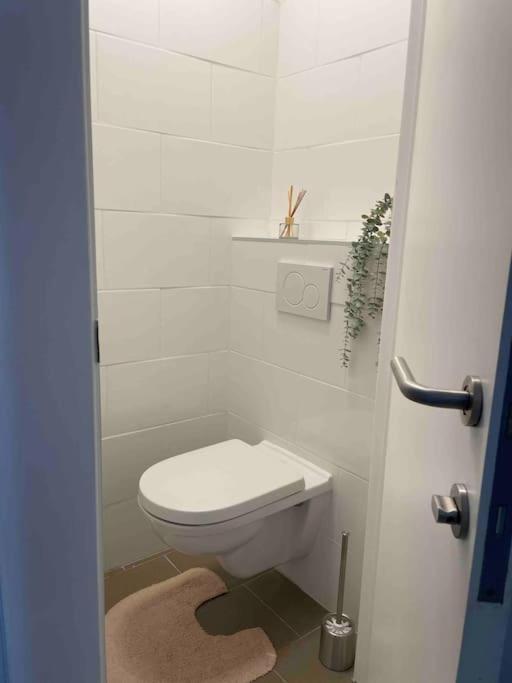 Residentie Piccadilly 2 Slpk Te Oostende, 4 Tot 5 Pers, Met Terras Ostend