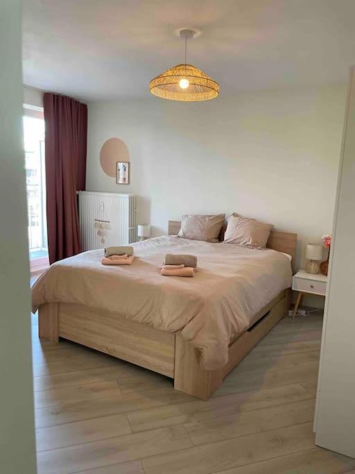 Apartment Residentie Piccadilly 2 Slpk Te Oostende, 4 Tot 5 Pers, Met Terras